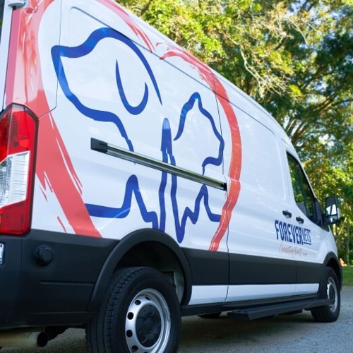 Vehicle Graphics